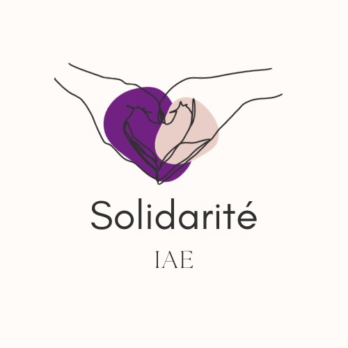 Solidarité IAE