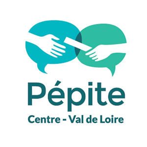 logo pepite