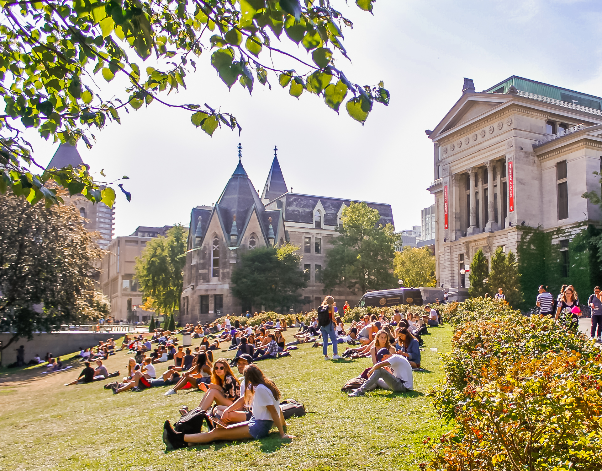 McGill